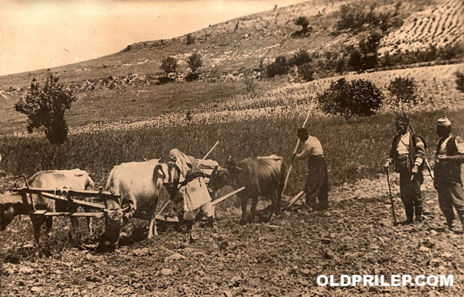 Прва светска војна: Орачи од Прилепско...