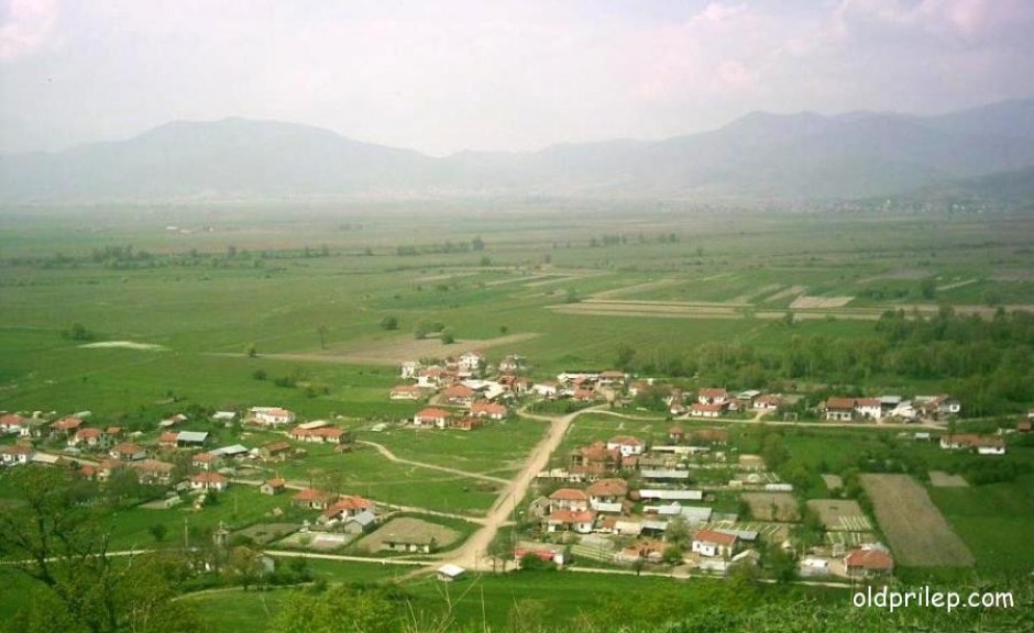 Бело Поле
