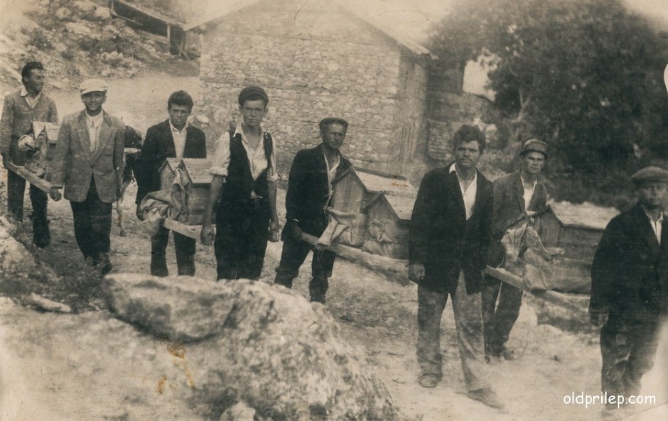 1953: Пчеларското друштво „Братство“ носат сандаци со пчелни семејства во с. Манастир
