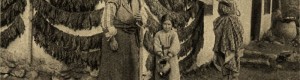 Годините на Првата светска војна: Турска фамилија покрај низите со тутун.