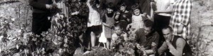 1964 година... Калојновци на гроздобер кај Прчаковци...