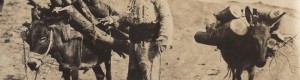 Прва светска војна: „Македонец со магариња“ - Дрвар од прилепско