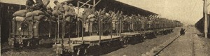 1917: Железничката станица во Градско